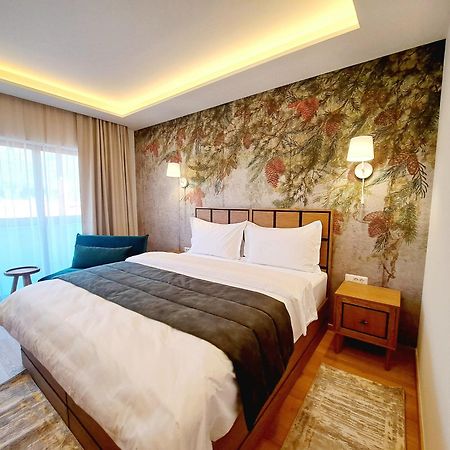 Pensiunea Leonida - Resort Leonida Poiana Tapului ภายนอก รูปภาพ